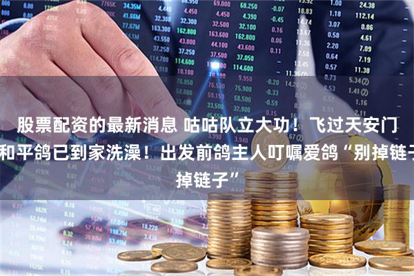 股票配资的最新消息 咕咕队立大功！飞过天安门的和平鸽已到家洗澡！出发前鸽主人叮嘱爱鸽“别掉链子”