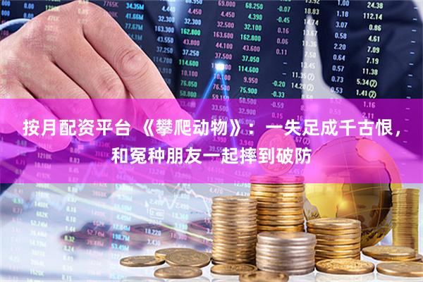 按月配资平台 《攀爬动物》：一失足成千古恨，和冤种朋友一起摔到破防