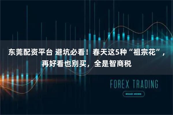 东莞配资平台 避坑必看！春天这5种“祖宗花”，再好看也别买，全是智商税