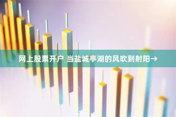 网上股票开户 当盐城亭湖的风吹到射阳→